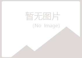 白银平川女孩服务有限公司